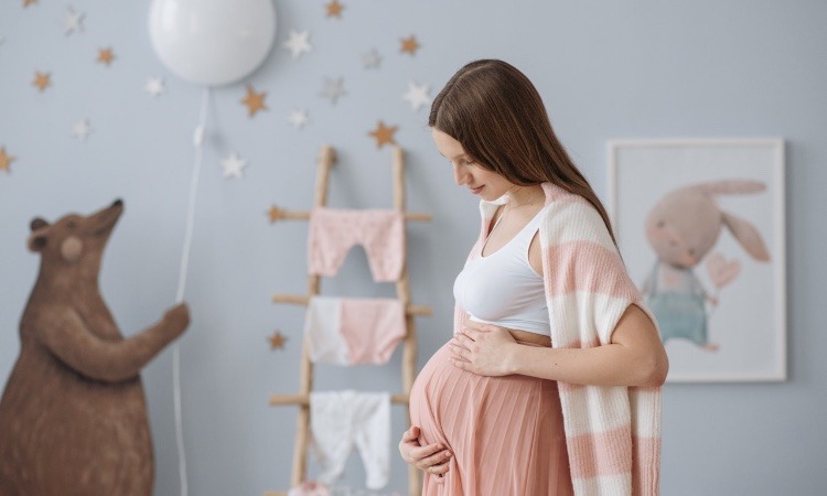 ¿Qué pasa en el vientre materno durante el desarrollo prenatal?